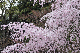 image0342