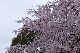 image0343