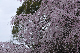 image0344