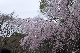 image0345