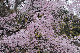 image0346