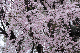 image0347