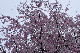 image0348