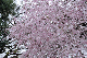 image0349