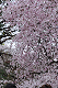 image0350