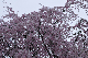 image0352