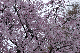 image0353