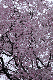image0354