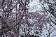 image0355