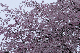 image0356