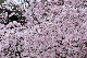 image0357
