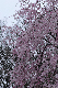 image0358