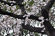 image0359