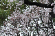 image0360