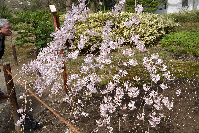 image0102