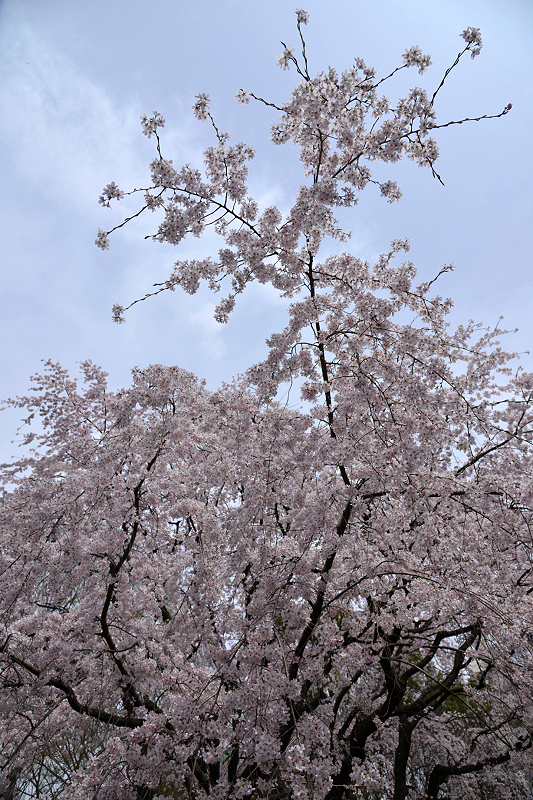 image0104