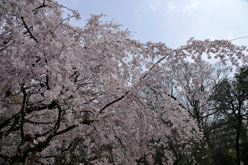 image0111
