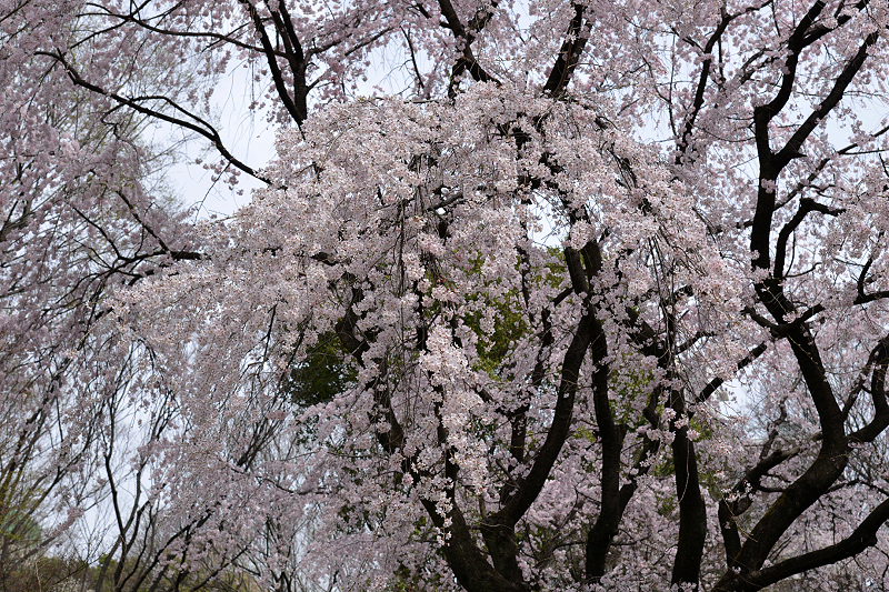 image0119