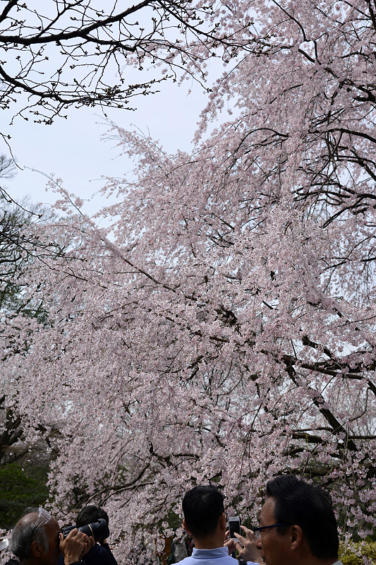image0130