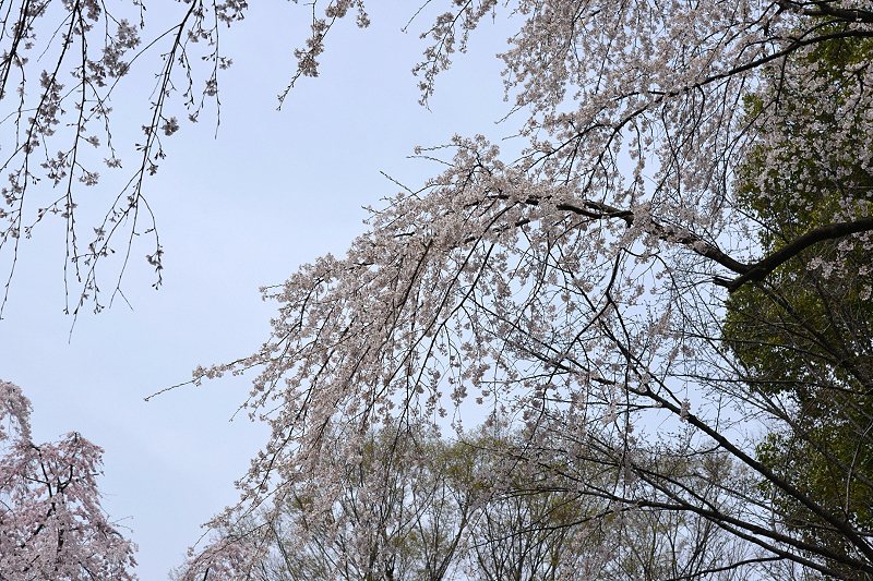 image0132
