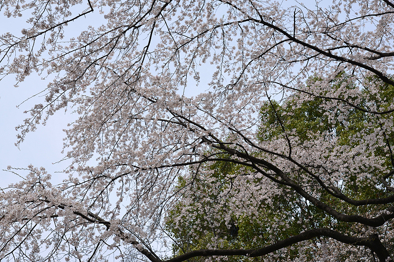 image0133