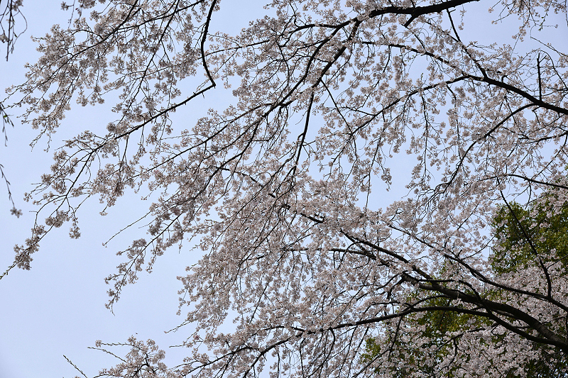 image0134