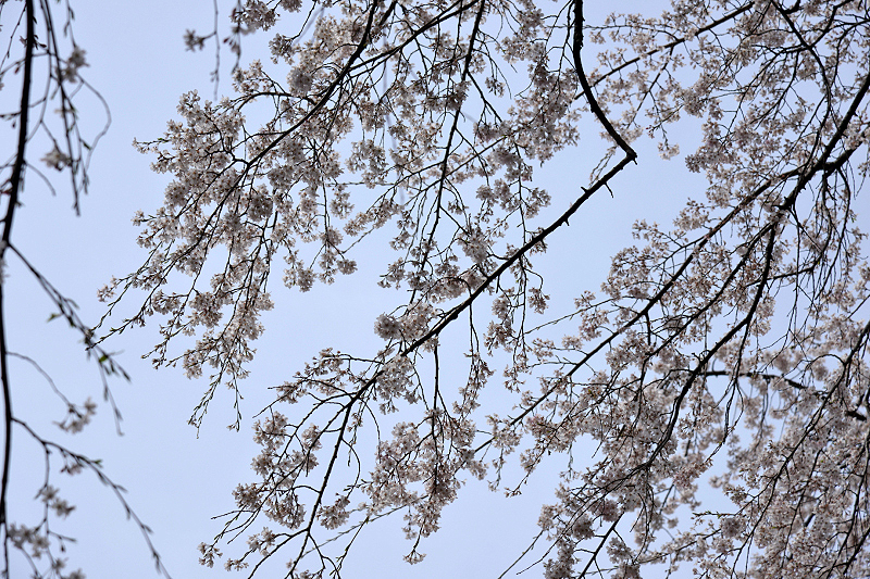 image0135