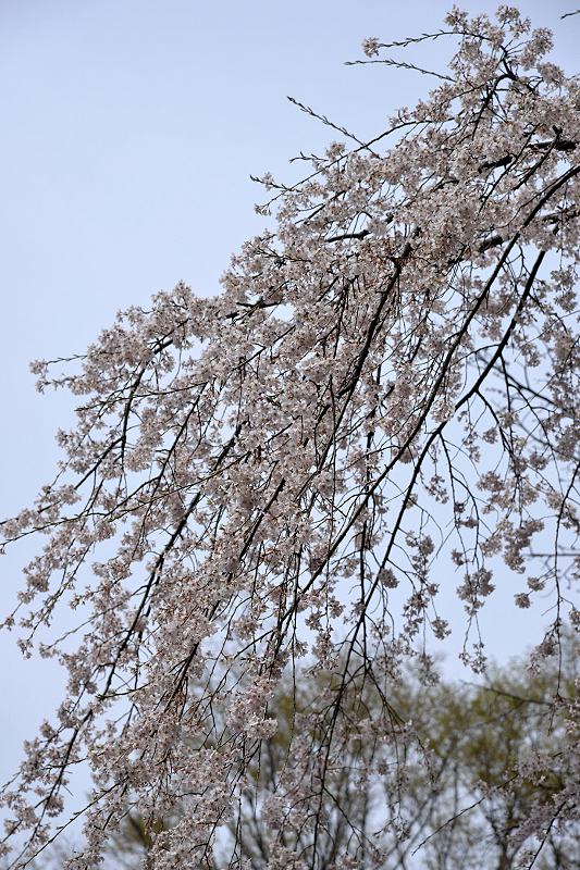 image0136