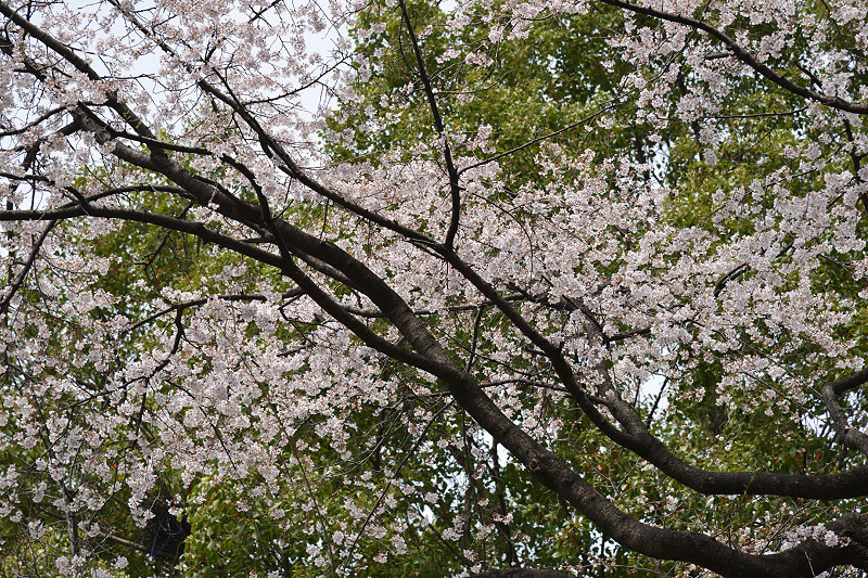 image0137