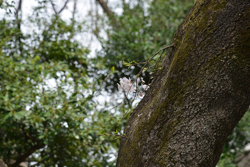 image0138