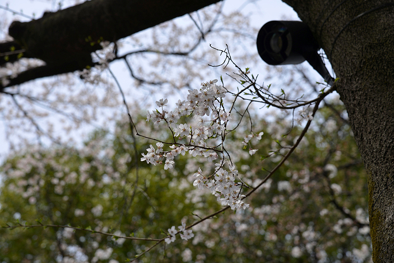 image0139
