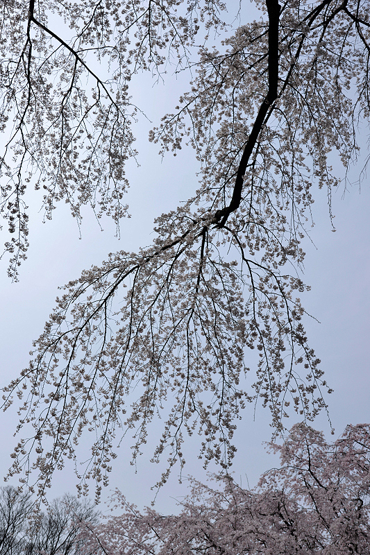 image0140