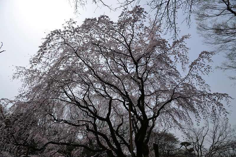 image0143