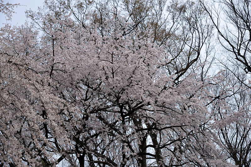 image0151
