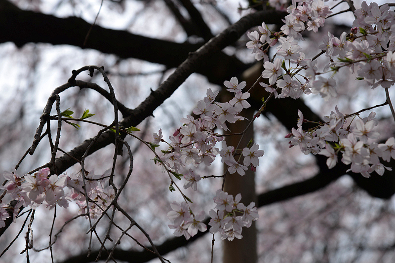 image0153