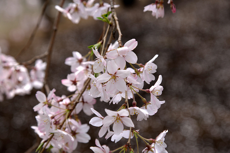 image0154