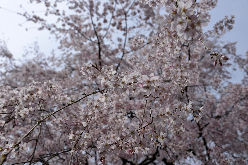 image0156