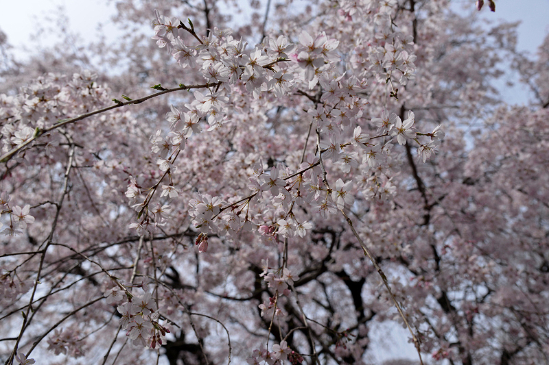 image0157