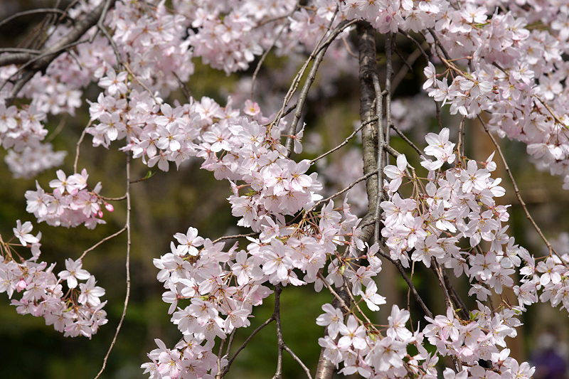 image0182