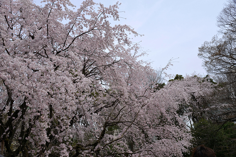 image0187