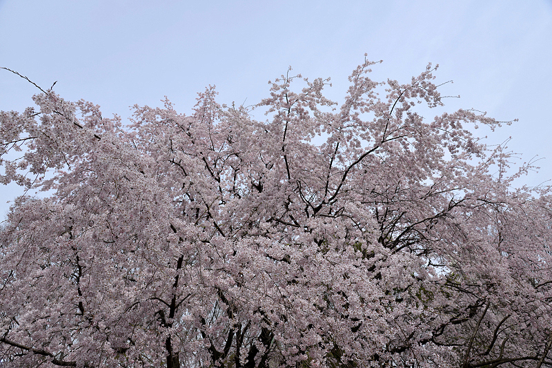 image0188