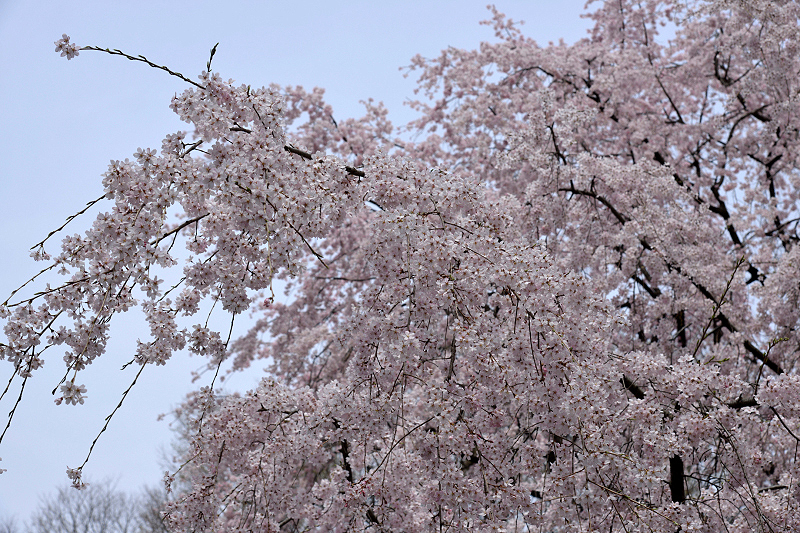 image0189