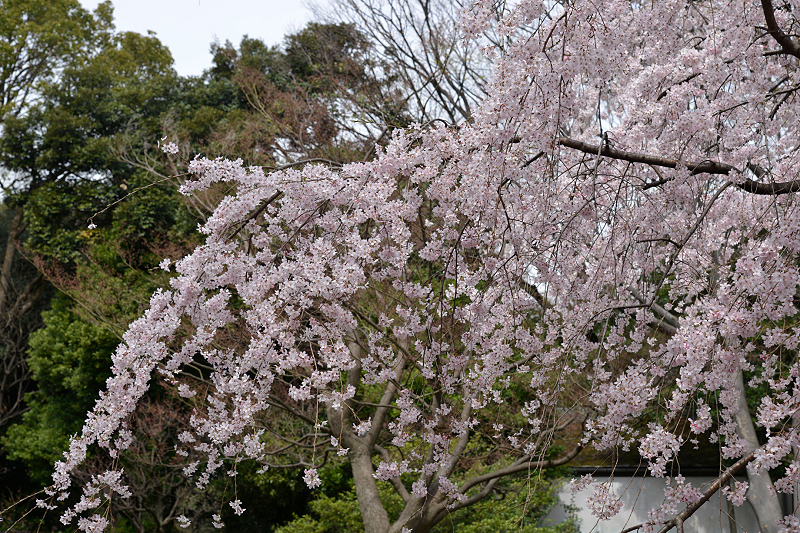 image0190