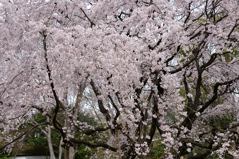 image0191
