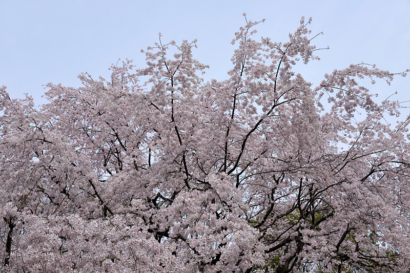 image0192