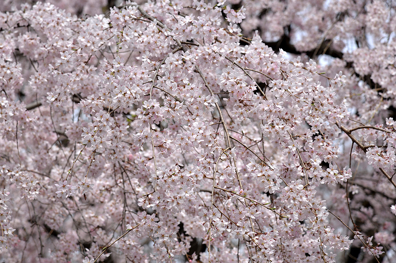 image0193