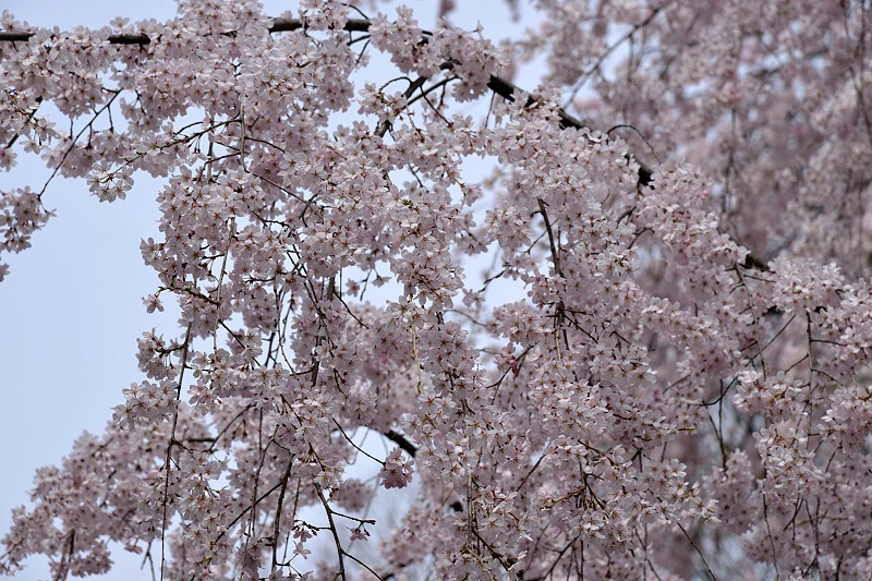 image0194