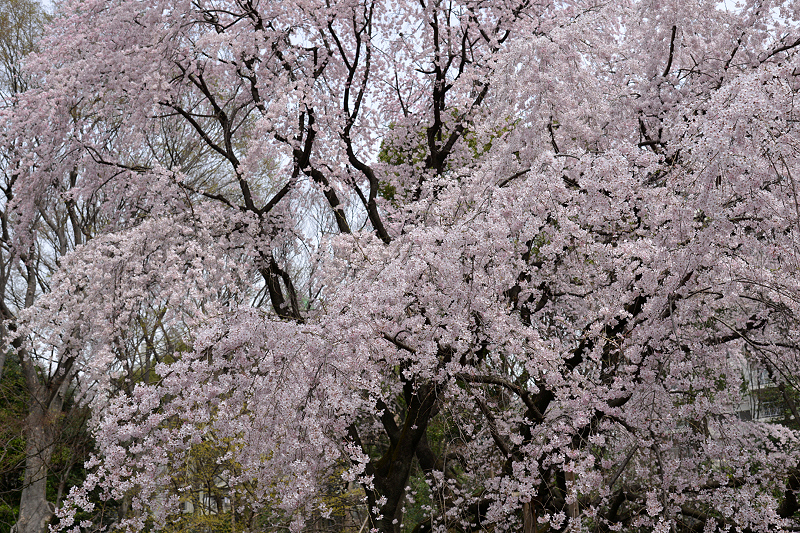 image0195