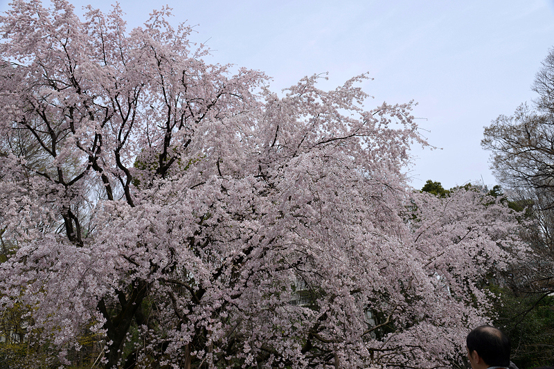 image0196