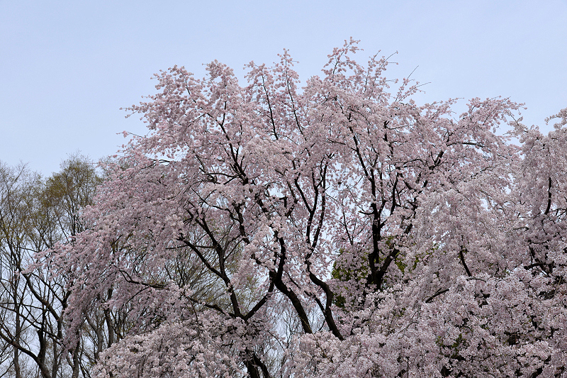 image0197